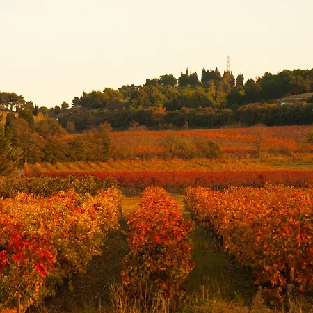 B&b-les Balcons De Maragon