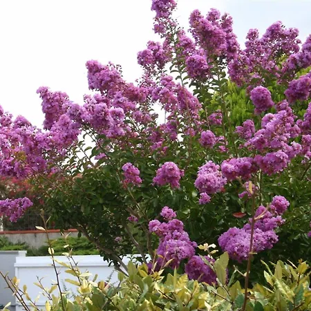 B&b-les Balcons De Maragon Bed & Breakfast 4*